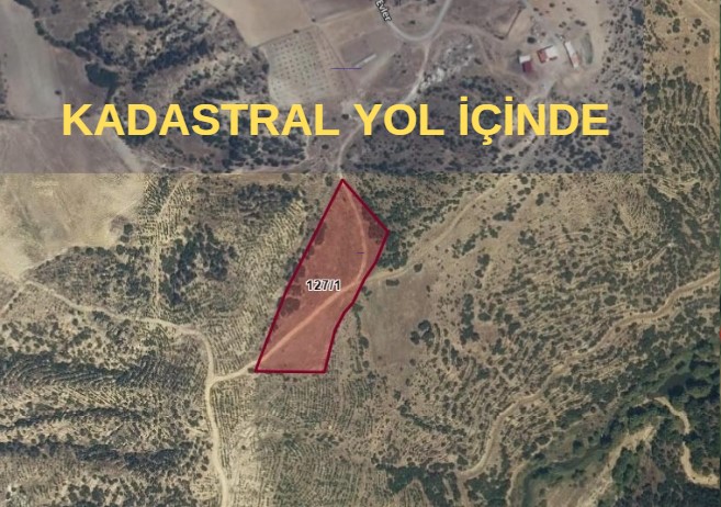 UŞAK MERKEZ KISIK KÖYÜNDE 11.321 M² TARLAMIZ SATILIKTIR. - UŞAK MERKEZ fotoğraf 4